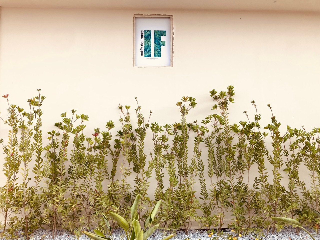 Isola Fiorita – logo